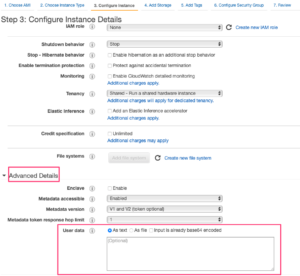 Spyderbat Nano Agent installation on AWS step 3