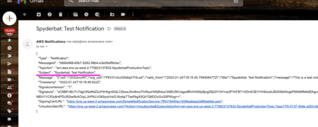 Email with the JSON formatted content